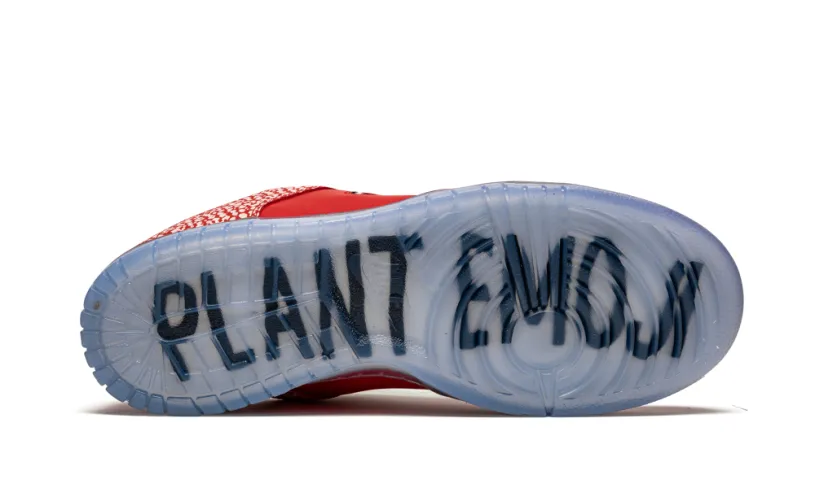 Nike Dunk SB Dunk Low 'Stingwater - Magic Mushroom'